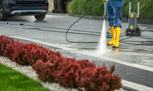 Best Residential Pressure Washing Services  in South Rockwood, MI