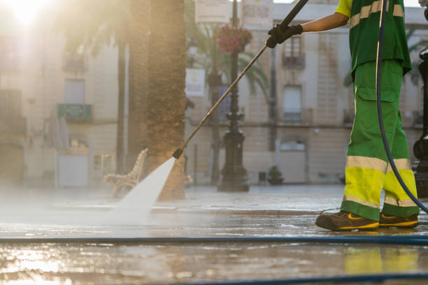 Professional Pressure Washing in South Rockwood, MI